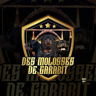 Des molosses de garabit à Val d'Arcomie