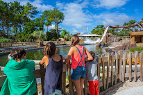 Parc de La Coccinelle à Gujan-Mestras