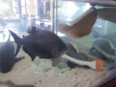 Photos of Fish Garden Blitar