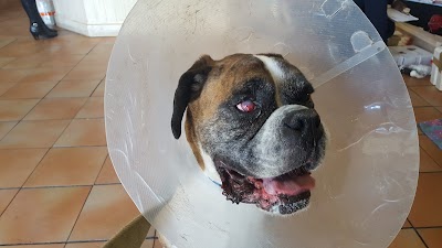 Photos of Steenberg Veterinary Clinic
