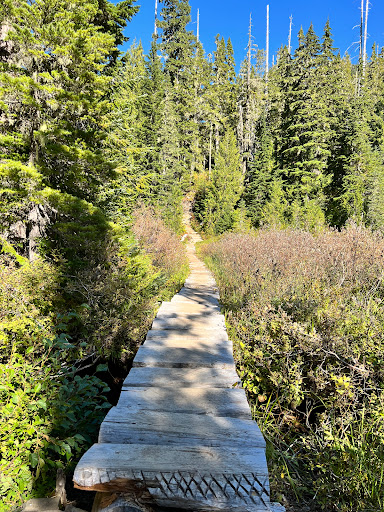 Deer Lake - Visual
