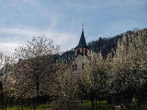 Photo n°12 de Ferienhaus Elsass à Oberbronn (Appartement de vacances)