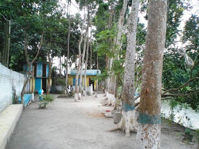 Photos of Blue Man's Park