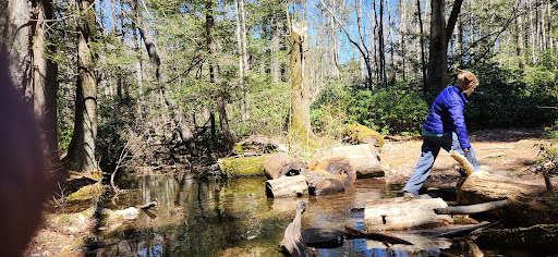 Vernooy Falls - Thumbnail