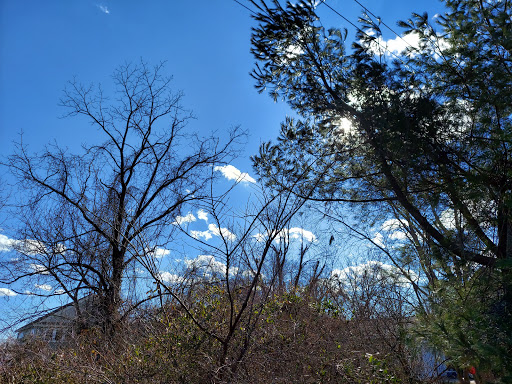 Barnegat Branch Trail, South Trailhead Parking - Thumbnail
