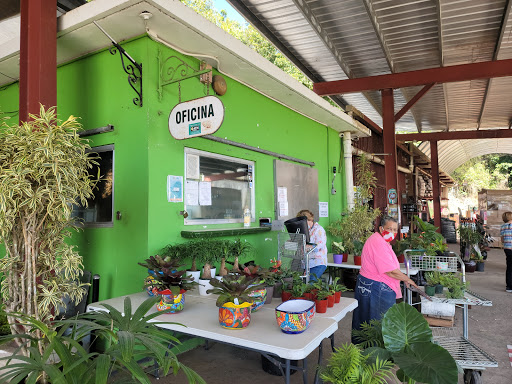 Byron Pike Nursery