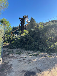 Photo n°39 de ZR Elagueur 30 Saint-Christol-lez-Alès à Saint-Christol-lez-Alès (Service d'élagage)