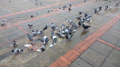 Photos of Alcaldia Fusagasug&aacute;