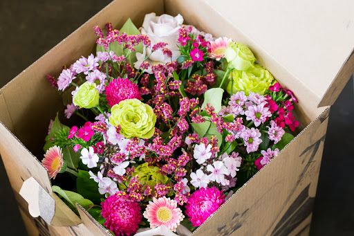 Bloombox - Thumbnail