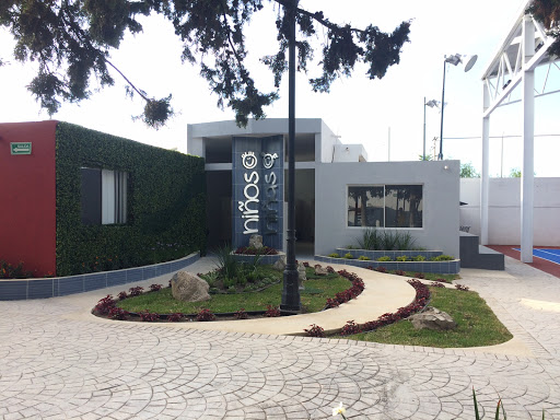 Instituto Vivir Gallery - Mexico