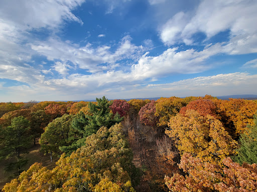 Taum Sauk Lookout Tower - Thumbnail