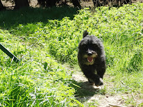 Domaine de Chassefaim à Beton-Bazoches