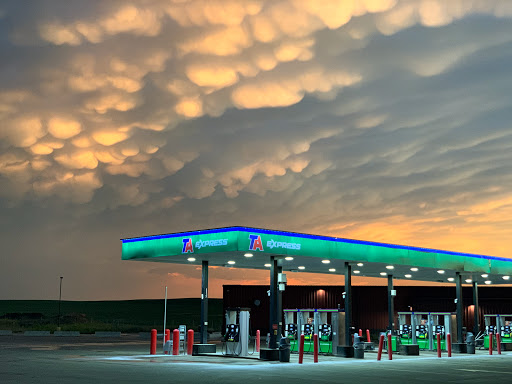 The Wild Bison Travel Center - Thumbnail