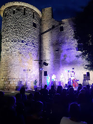 Photo n°67 de Château de Vogüé à Vogüé (Attraction touristique)