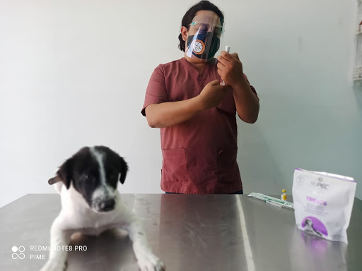 Veterinaria Hogar