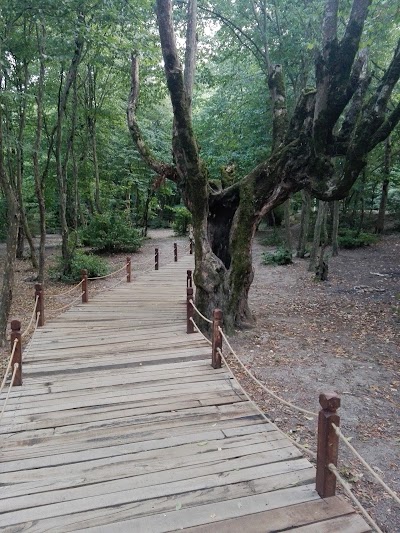 Photos of Al&aacute;ng darreh park(paradise).
