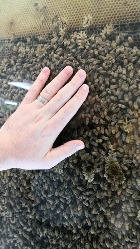 Arataki Honey - Visitor Centre Open Times