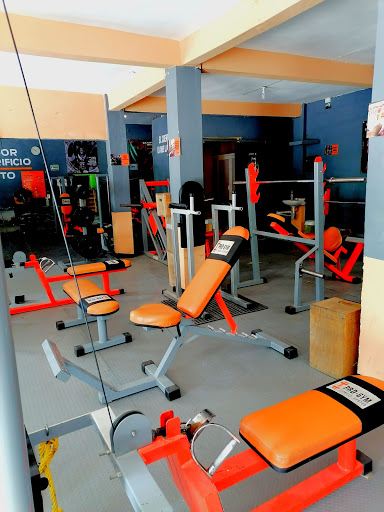 ProGymTx - Visual