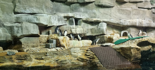 Shedd Aquarium Store Gallery - United States