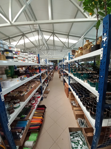 Hurtownia Kwiatów Kwiaty Cięte i Doniczkowe - Zamość Centrum Kwiatowe - Kwiaciarnia