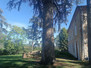 Photo n°20 de Le Jardin des Cèdres à Lavaur (Hôtel)