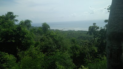 Photos of Desa Kalumpang