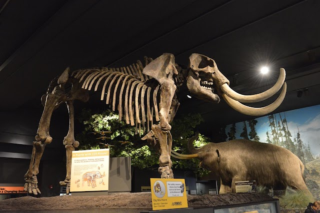 Rochester Museum & Science Center