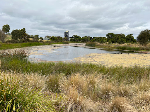 Grinter Reserve - Visual