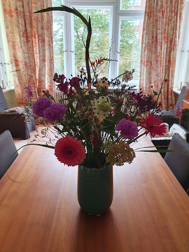 Fiori Belli - Visual