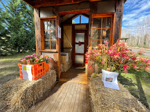 White Swan Free Range Eggs / Farm Gate Shop Gallery - Australia