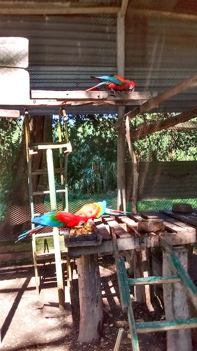Photos of Guaycolec