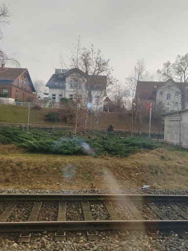 Suhl - Visual