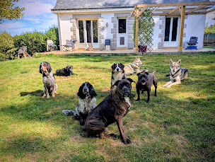 Photo n°6 de Pat'tout seul à Forges de Lanouée (Garde d'animaux de compagnie)