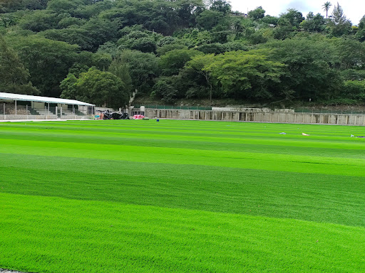 Estadio La Regional