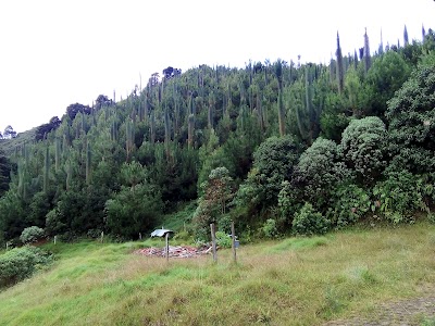 Photos of Laguna Del Romeral, La Estrella - Antioquia