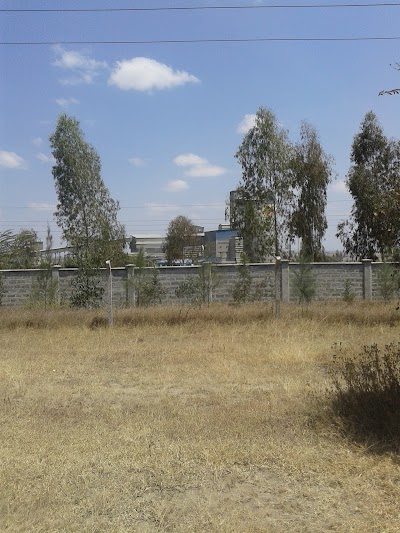 Photos of Simba Cement Mombasa Road