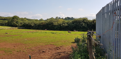 Garnic Farm - Visual