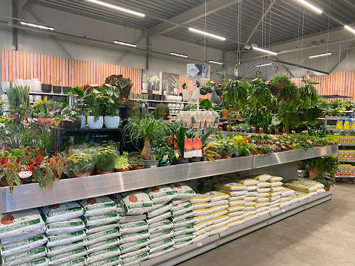 Welkoop Santpoort Noord B.V. - Thumbnail