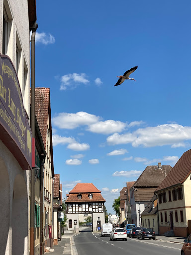 Storchenlehrpfad Uehlfeld - Thumbnail