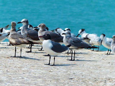 Photos of Playa P&uacute;blica