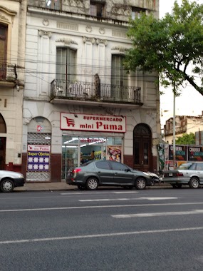 mini puma, Author: alfredo pichino