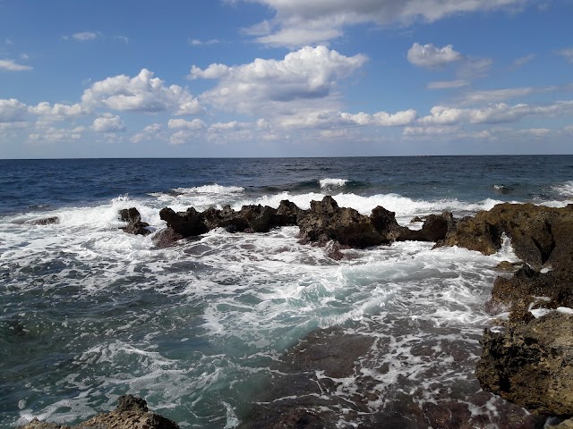 Salsedine Beach
