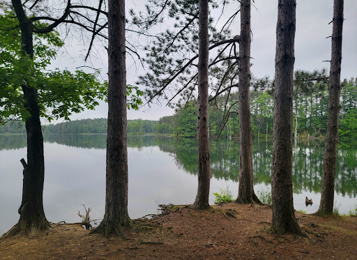 Dansville Reservoir