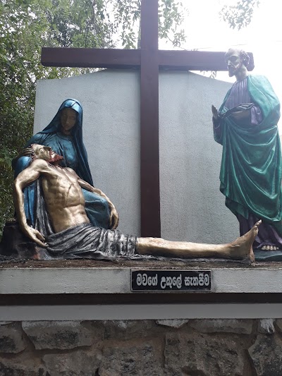 Photos of St. Bruno's Church-Thambakanda