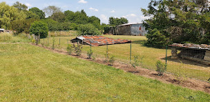 Photo n°15 de Evan Garden17 à Fontcouverte (Paysagiste)