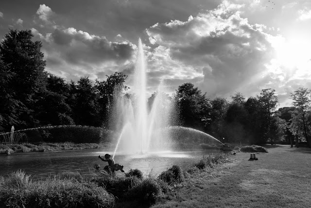 Park van Brasschaat