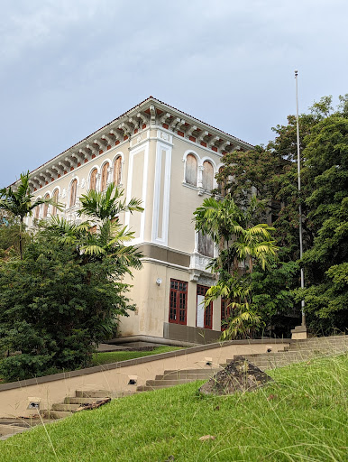 Escuela Central de Artes Visuales - Thumbnail