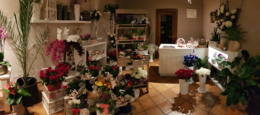 BLOOM Arte Floreale - Visual