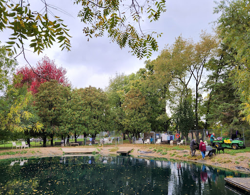 Clinton Dog Park - Thumbnail