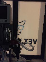 Photo n°22 de Vet Vision à Loos (Vétérinaire)
